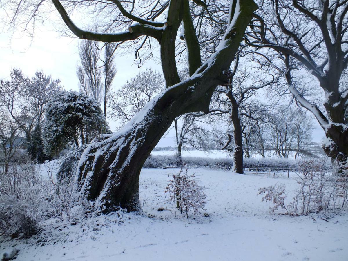 White House Farm Cottages West Haddon Exteriér fotografie